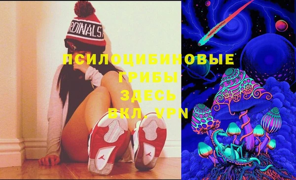 стафф Майский