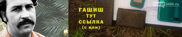 стафф Майский