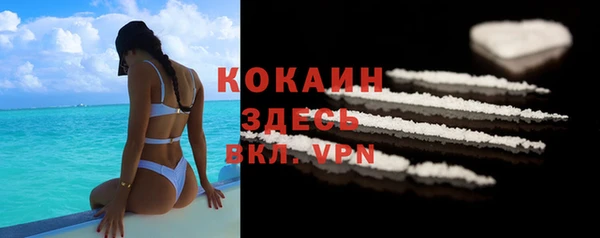 прущие крисы Магадан