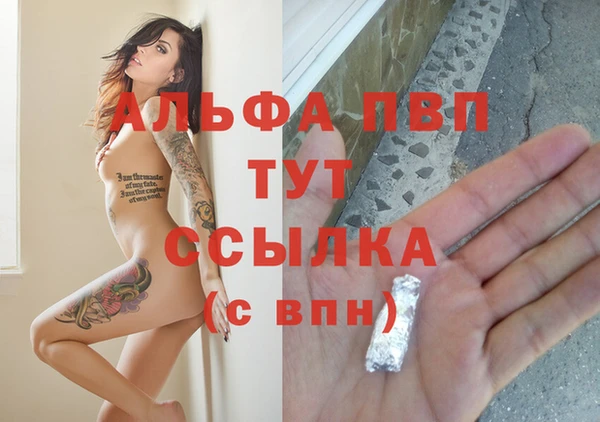 стафф Майский