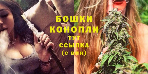 стафф Майский