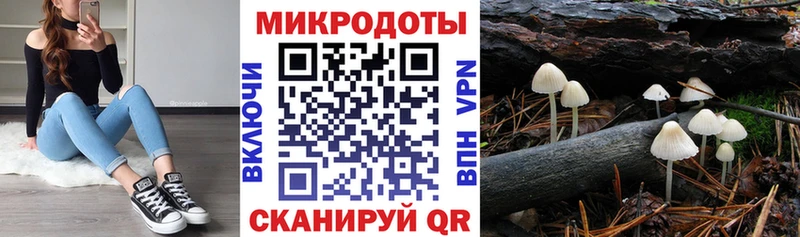 Псилоцибиновые грибы прущие грибы  Курчатов 