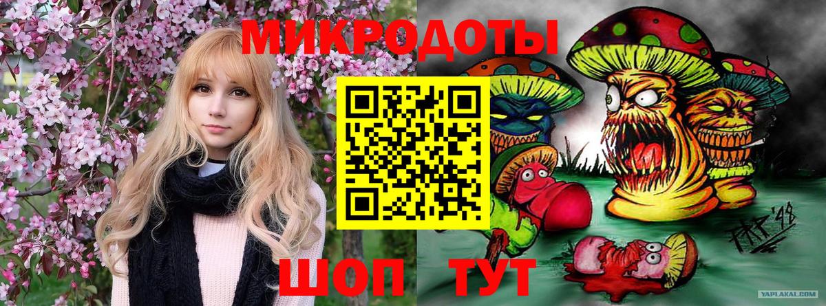 Галлюциногенные грибы Cubensis Курчатов
