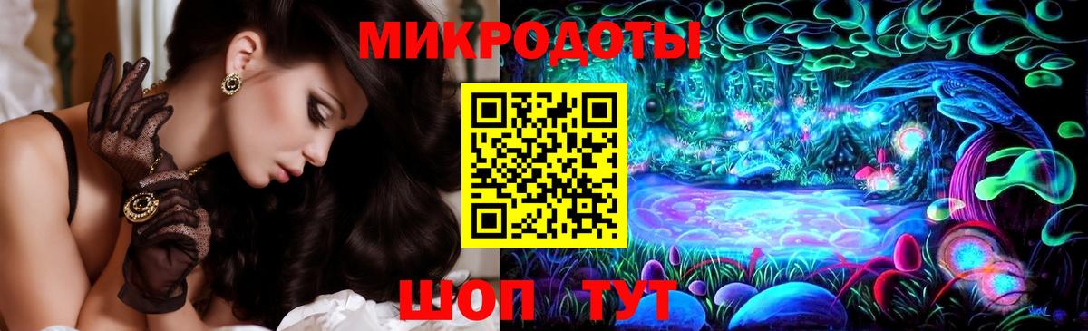 Курчатов  Галлюциногенные грибы Cubensis  Вход с VPN 